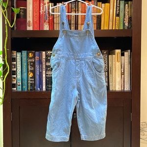 Forest & Hue Kids Blue Denim Overalls 2T